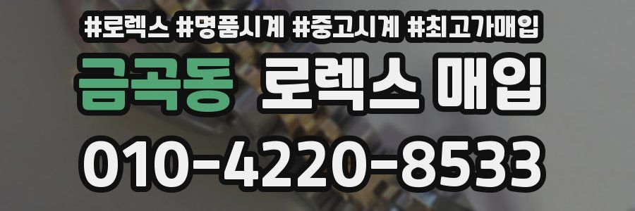 금곡동 로렉스 매입