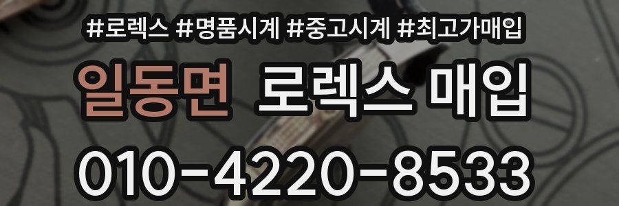 일동면 로렉스 매입