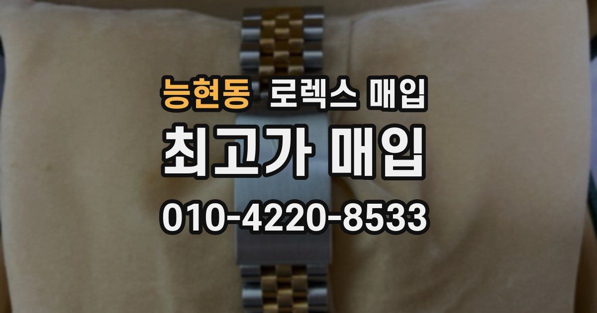 능현동 로렉스 매입