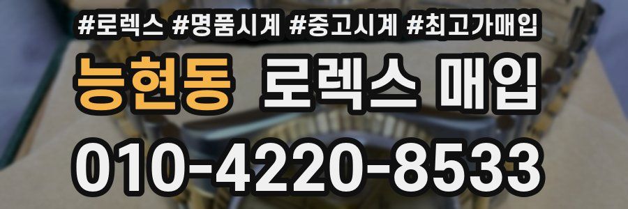 능현동 로렉스 매입