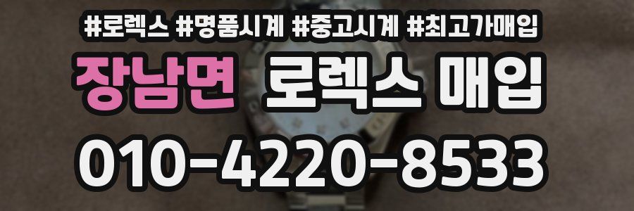 장남면 로렉스 매입