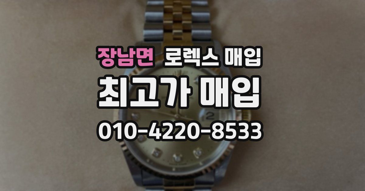 장남면 로렉스 매입