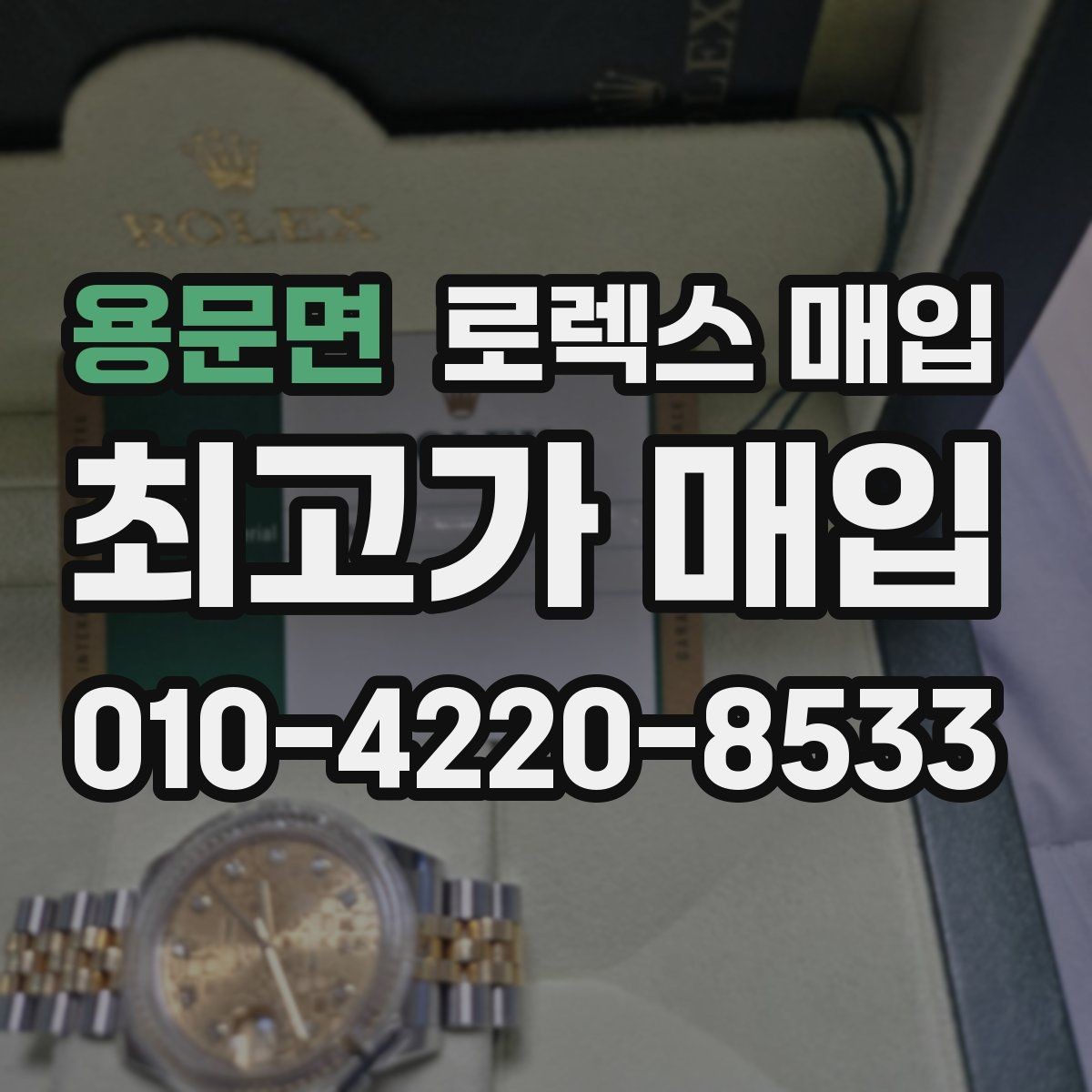 용문면 로렉스 매입 익스플로러 연식별 차이를 정리