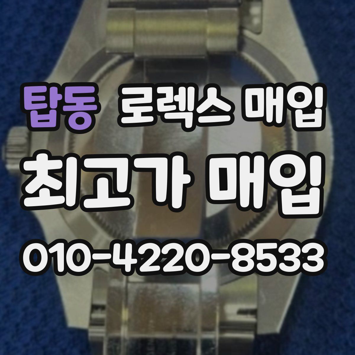 탑동 로렉스 매입