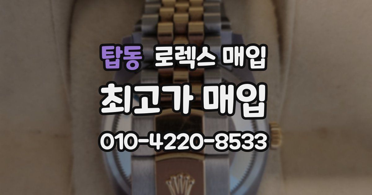 탑동 로렉스 매입