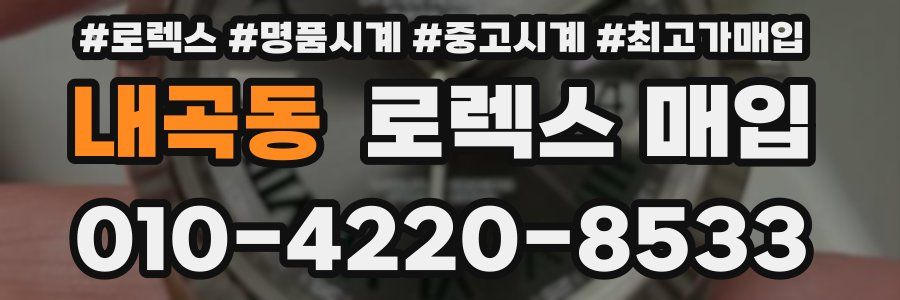 내곡동 로렉스 매입