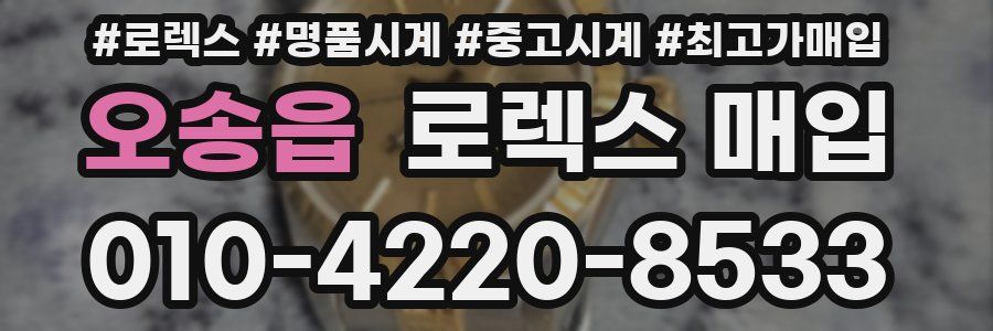 오송읍 로렉스 매입
