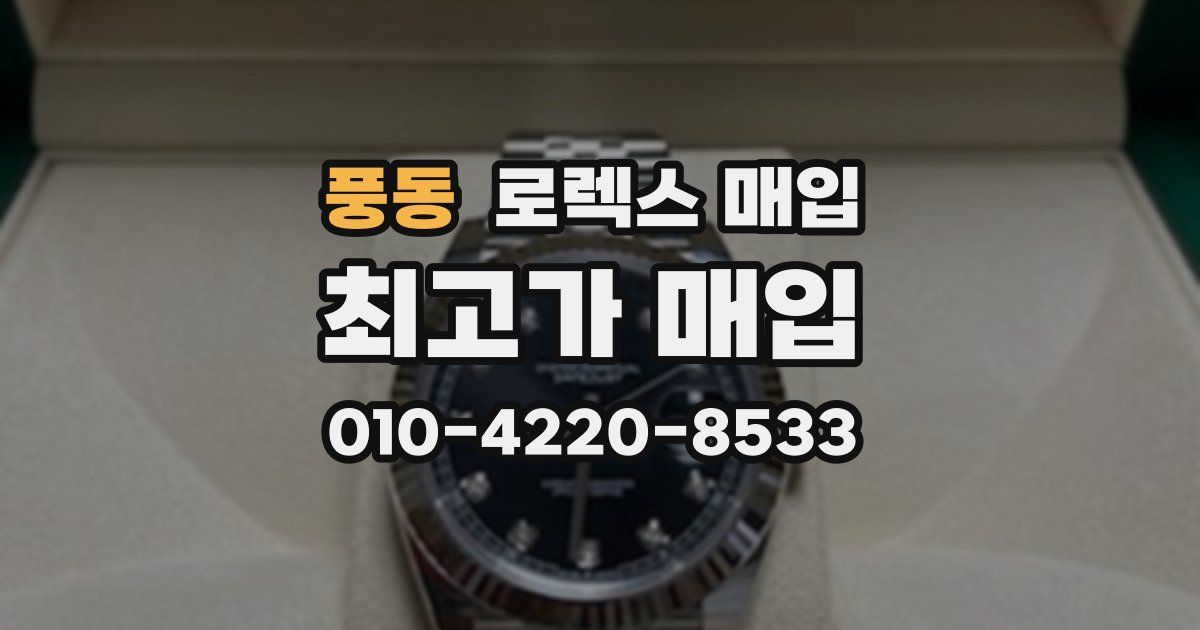 풍동 로렉스 매입