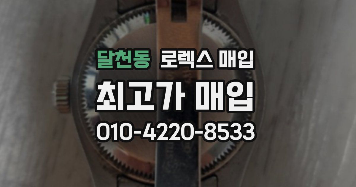 달천동 로렉스 매입