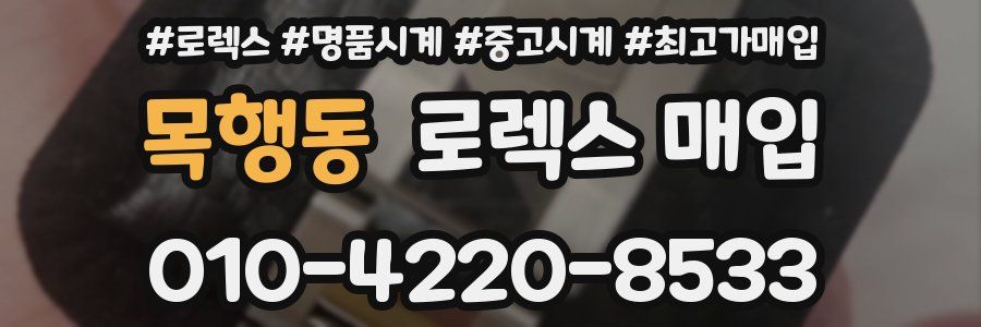 목행동 로렉스 매입