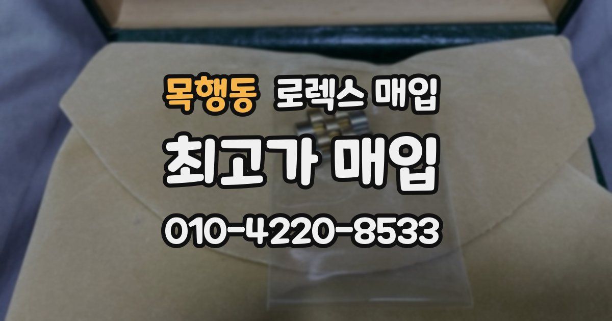 목행동 로렉스 매입