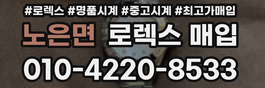 노은면 로렉스 매입