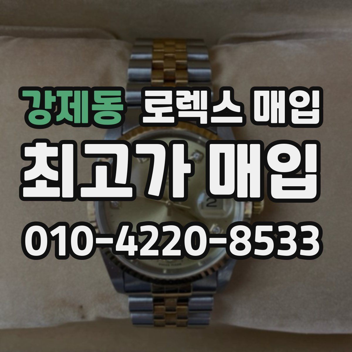 강제동 로렉스 매입 다이얼 옵션이 시세를 가르는 이유