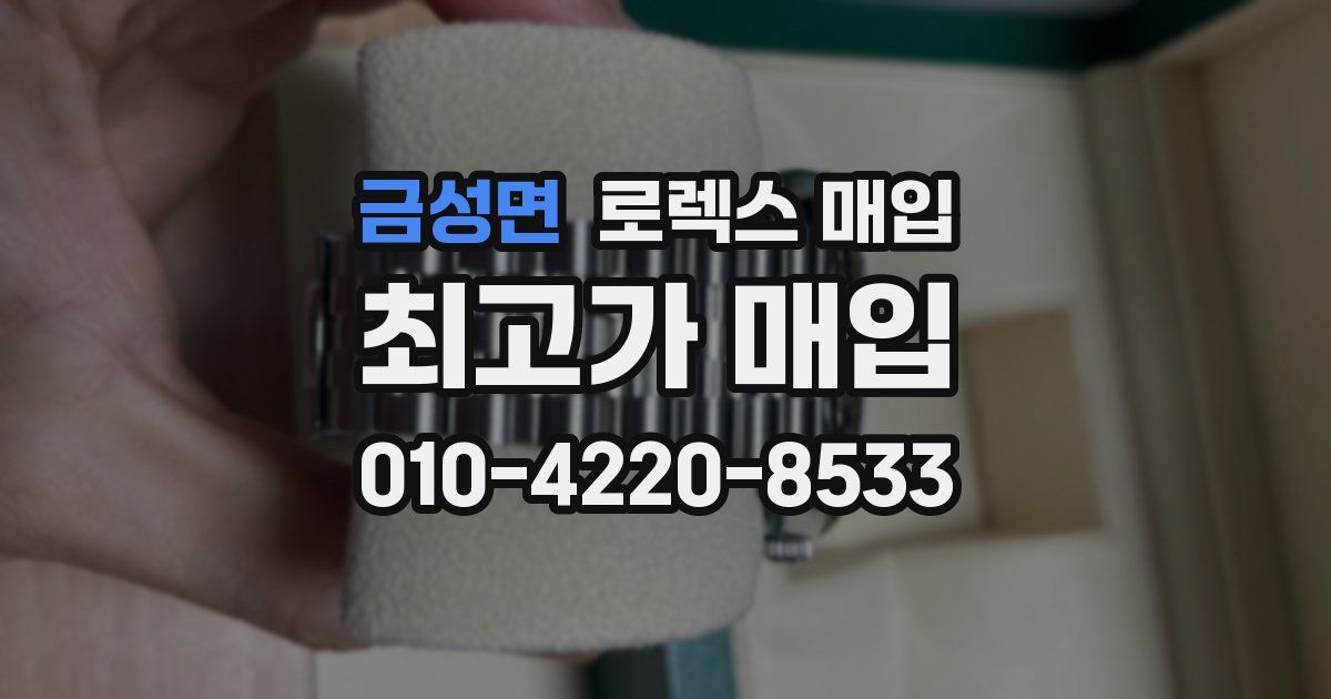 금성면 로렉스 매입