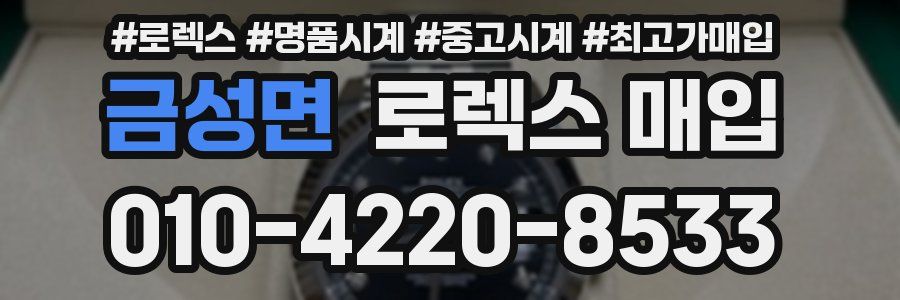금성면 로렉스 매입