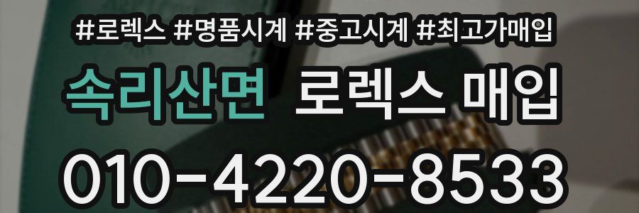 속리산면 로렉스 매입