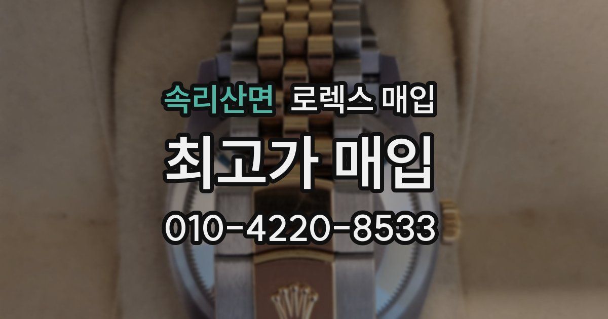 속리산면 로렉스 매입