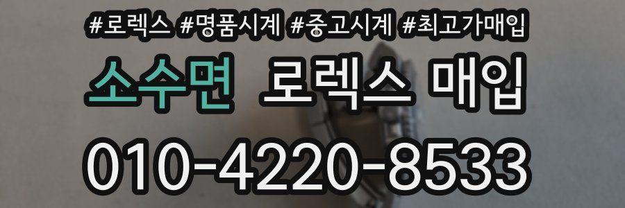 소수면 로렉스 매입