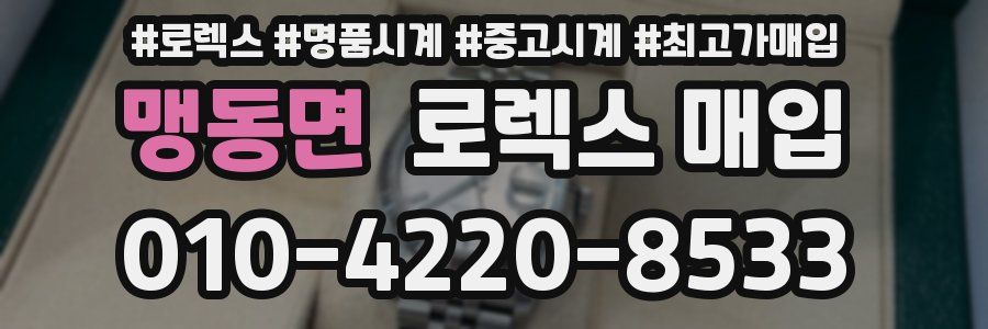 맹동면 로렉스 매입