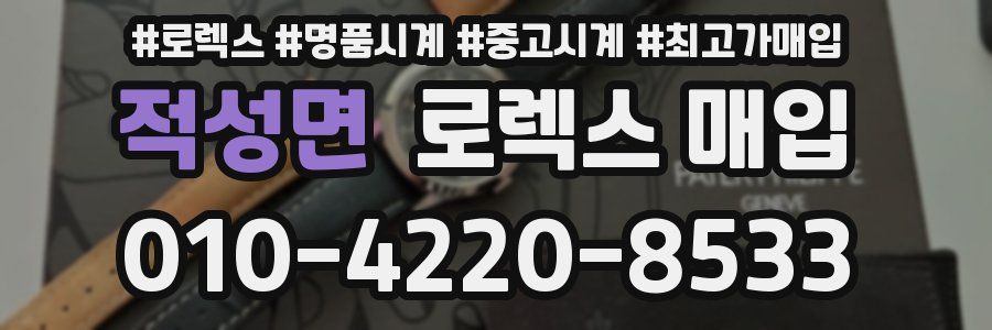 적성면 로렉스 매입