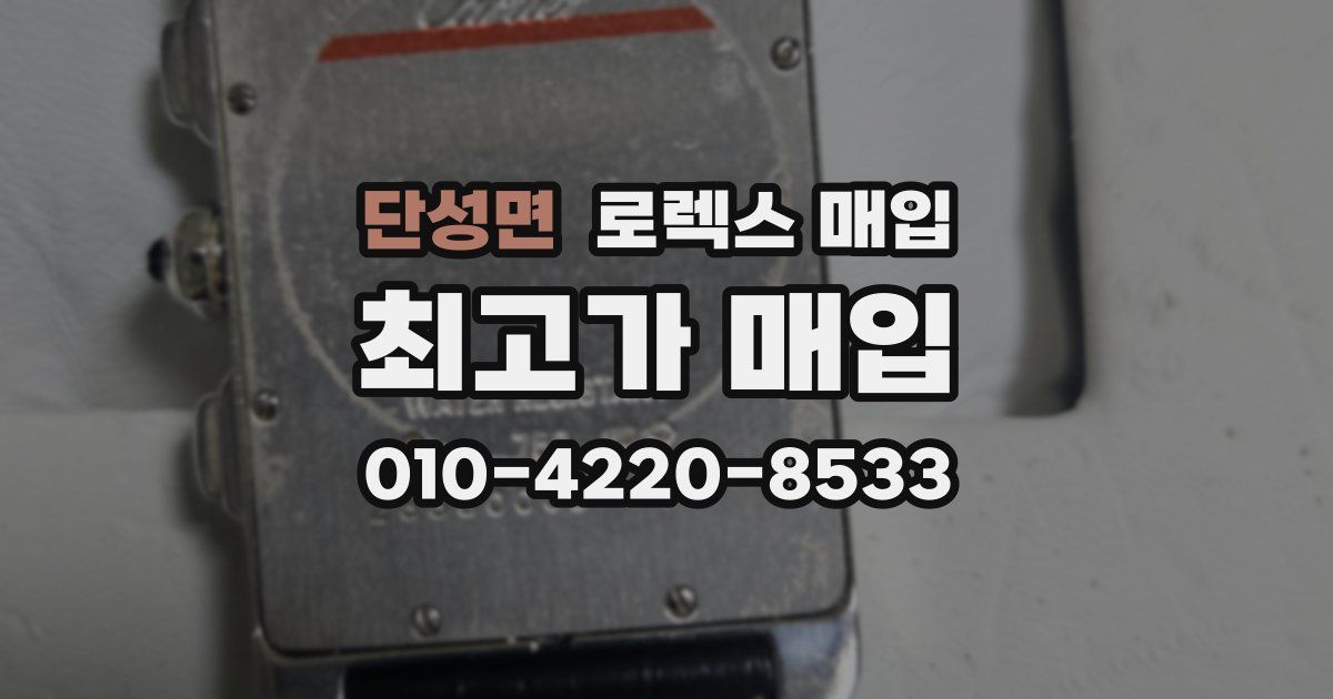 단성면 로렉스 매입