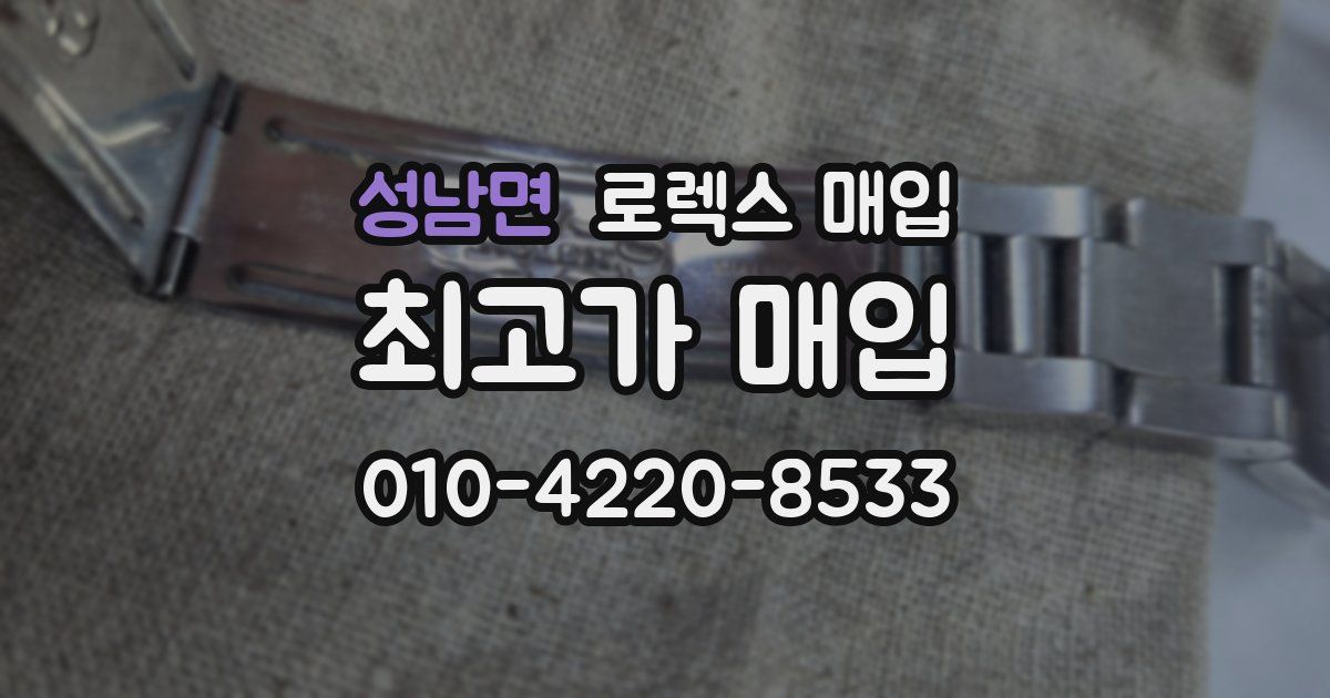 성남면 로렉스 매입