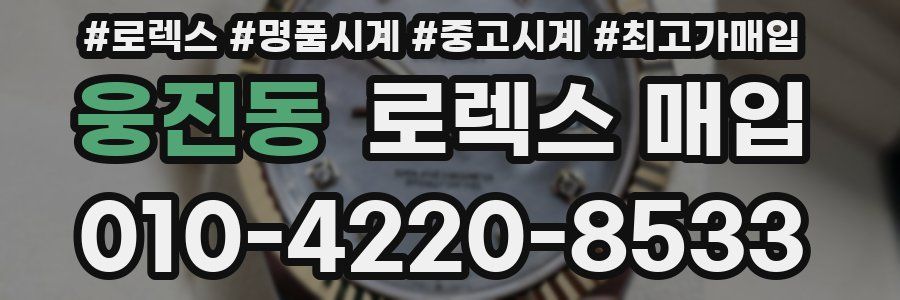 웅진동 로렉스 매입