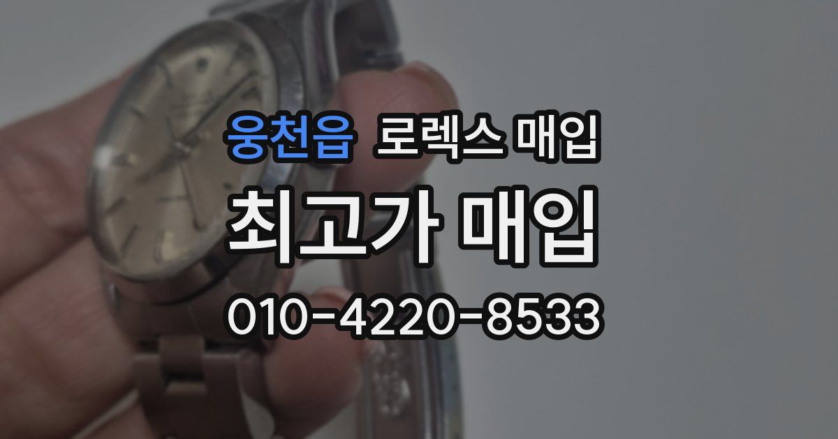 웅천읍 로렉스 매입