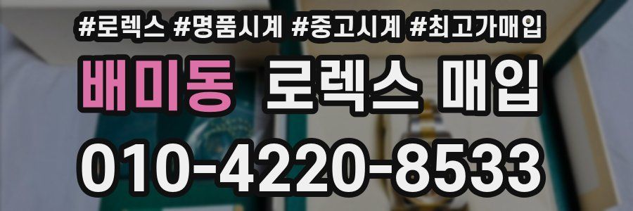 배미동 로렉스 매입