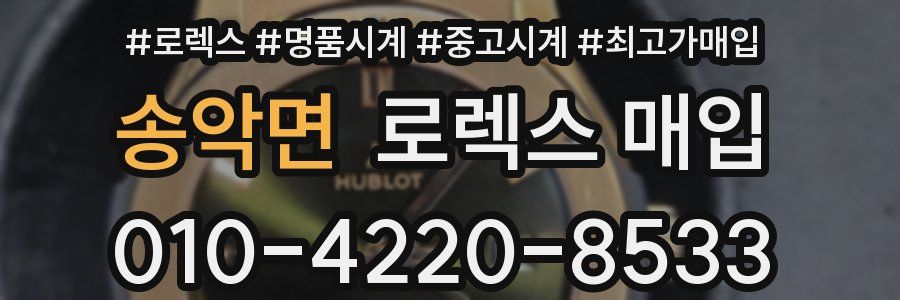 송악면 로렉스 매입