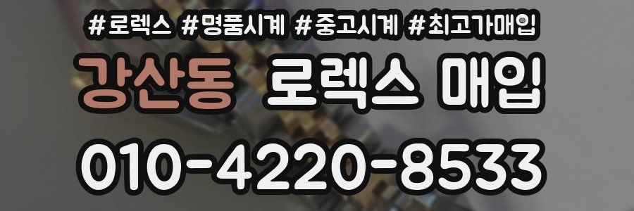 강산동 로렉스 매입