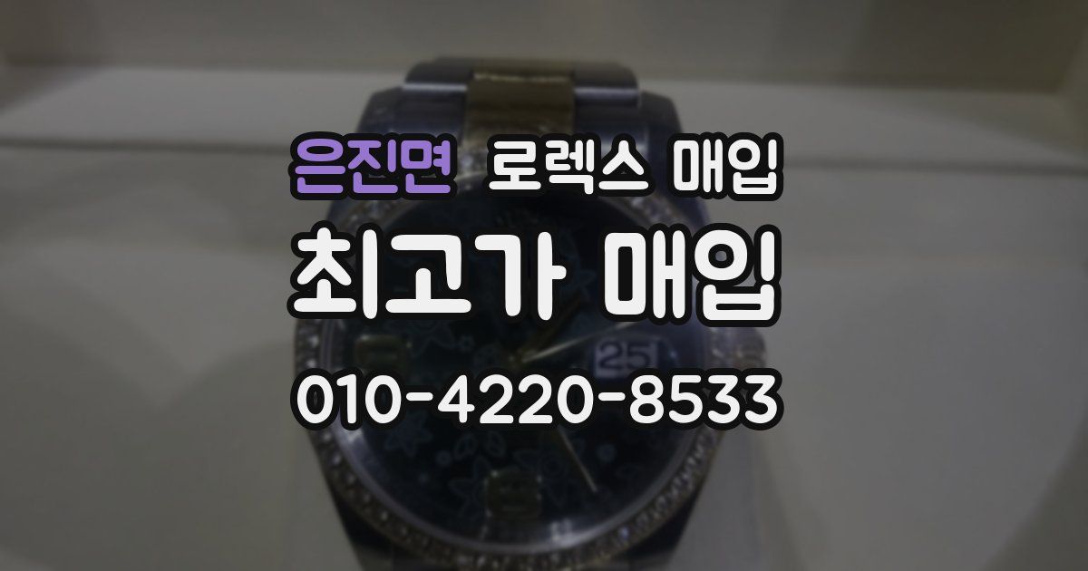 은진면 로렉스 매입