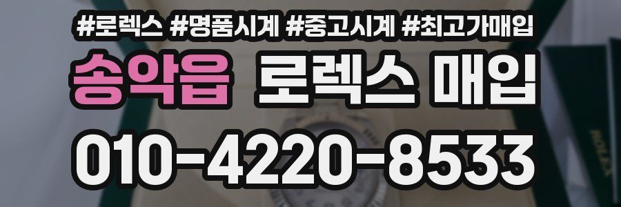 송악읍 로렉스 매입