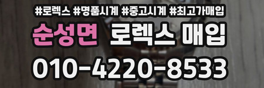 순성면 로렉스 매입