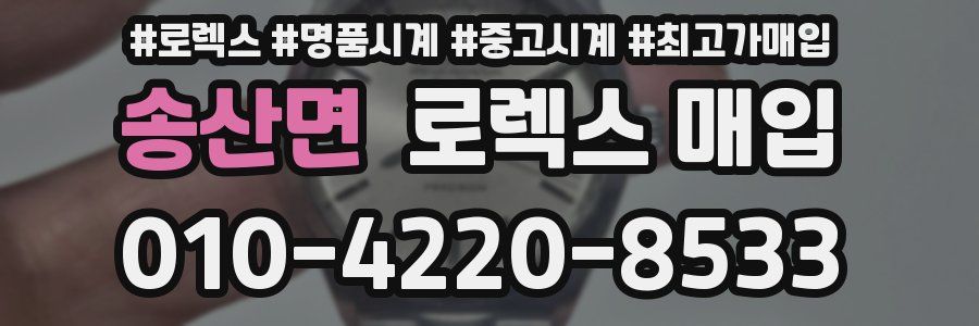 송산면 로렉스 매입