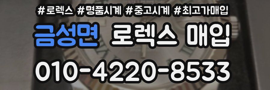 금성면 로렉스 매입