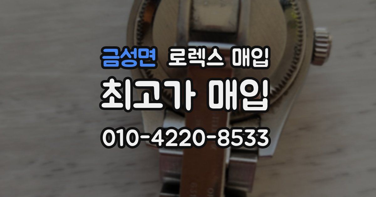 금성면 로렉스 매입