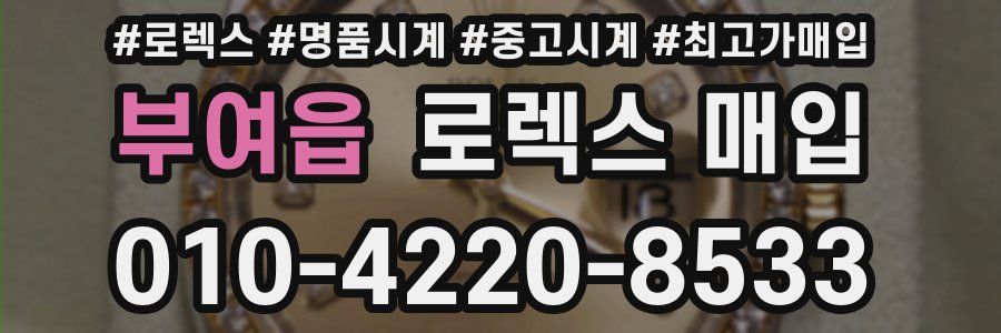 부여읍 로렉스 매입