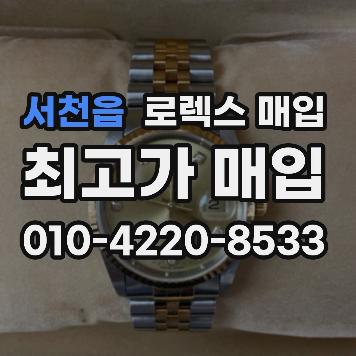 서천읍 로렉스 매입