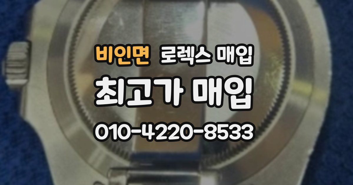 비인면 로렉스 매입