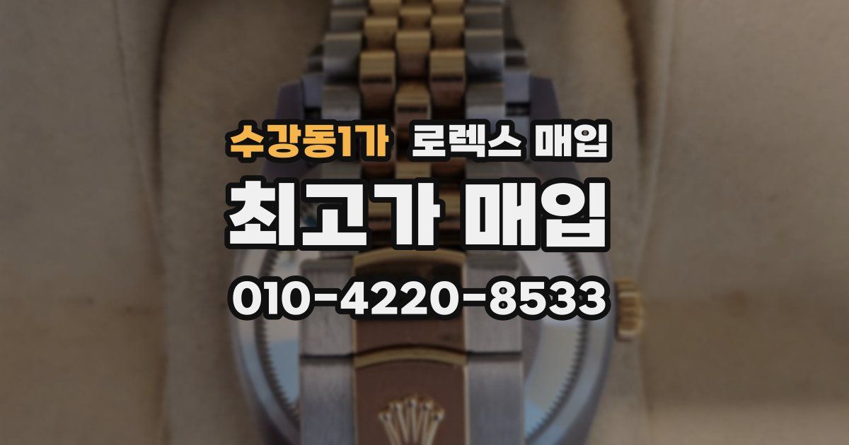 수강동1가 로렉스 매입