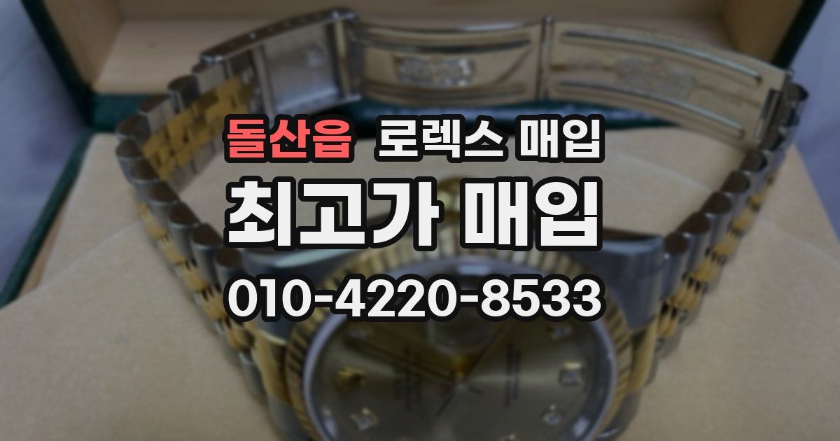 돌산읍 로렉스 매입