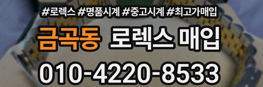 금곡동 로렉스 매입