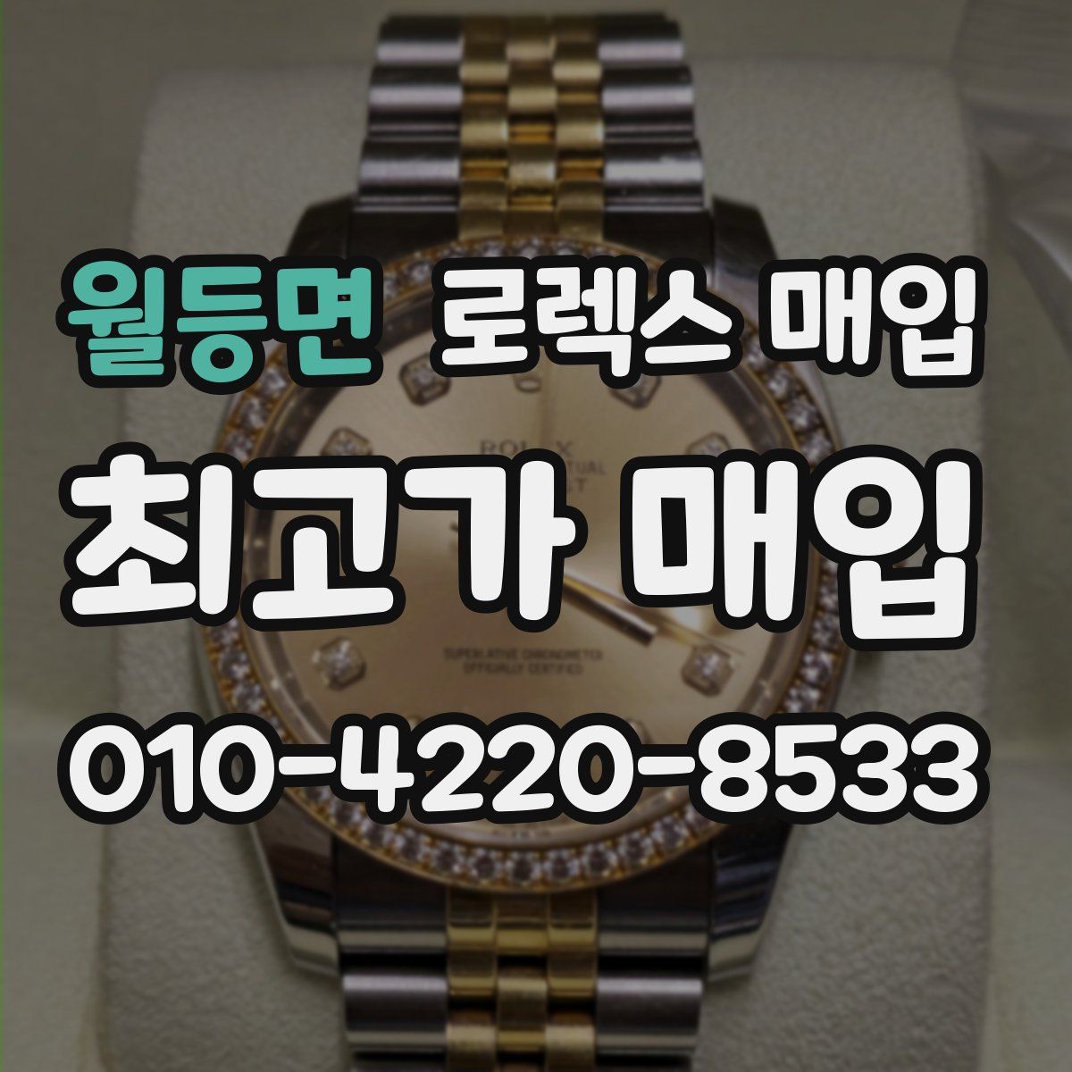 월등면 로렉스 매입