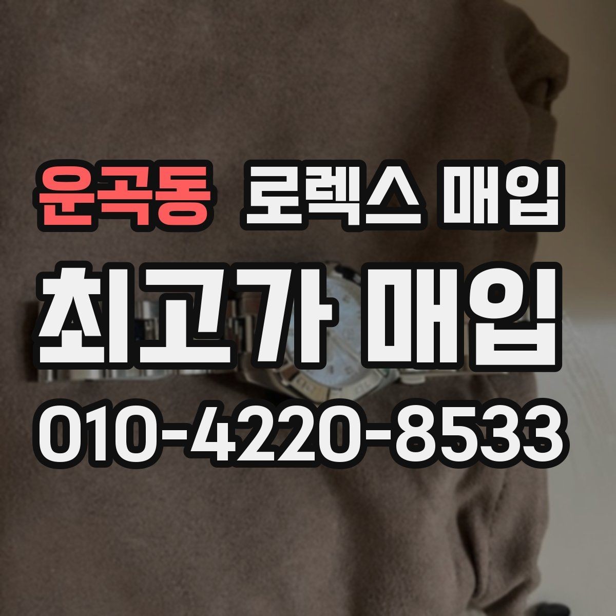 운곡동 로렉스 매입 오피셜 퍼페츄얼 시세 흐름 요약