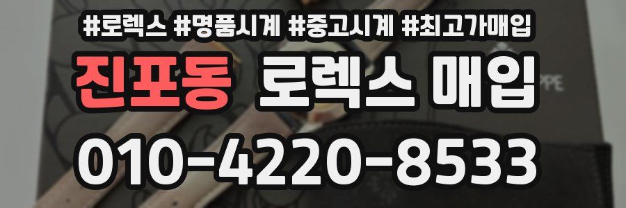 진포동 로렉스 매입