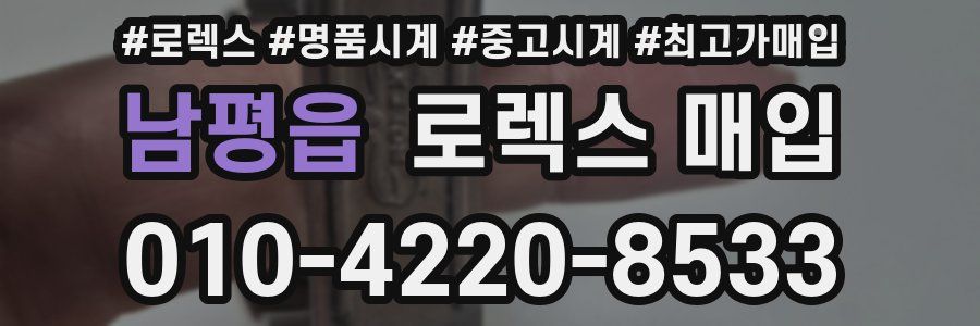 남평읍 로렉스 매입