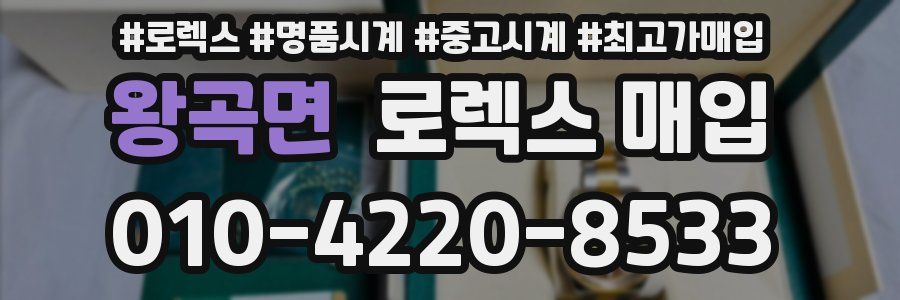 왕곡면 로렉스 매입