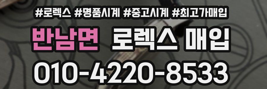 반남면 로렉스 매입