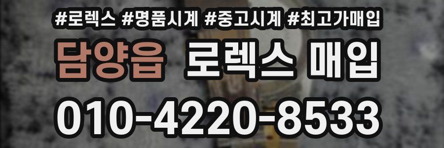 담양읍 로렉스 매입